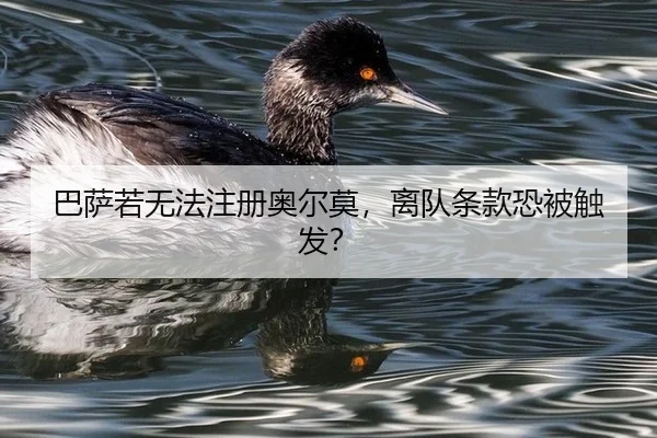 ba-sa-ruo-wu-fa-zhu-ce-ao-er-mo-li-dui-tiao-kuan-kong-bei-chu-fa-2-577.jpg