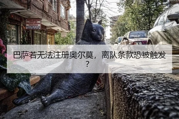 ba-sa-ruo-wu-fa-zhu-ce-ao-er-mo-li-dui-tiao-kuan-kong-bei-chu-fa-3-599.jpg