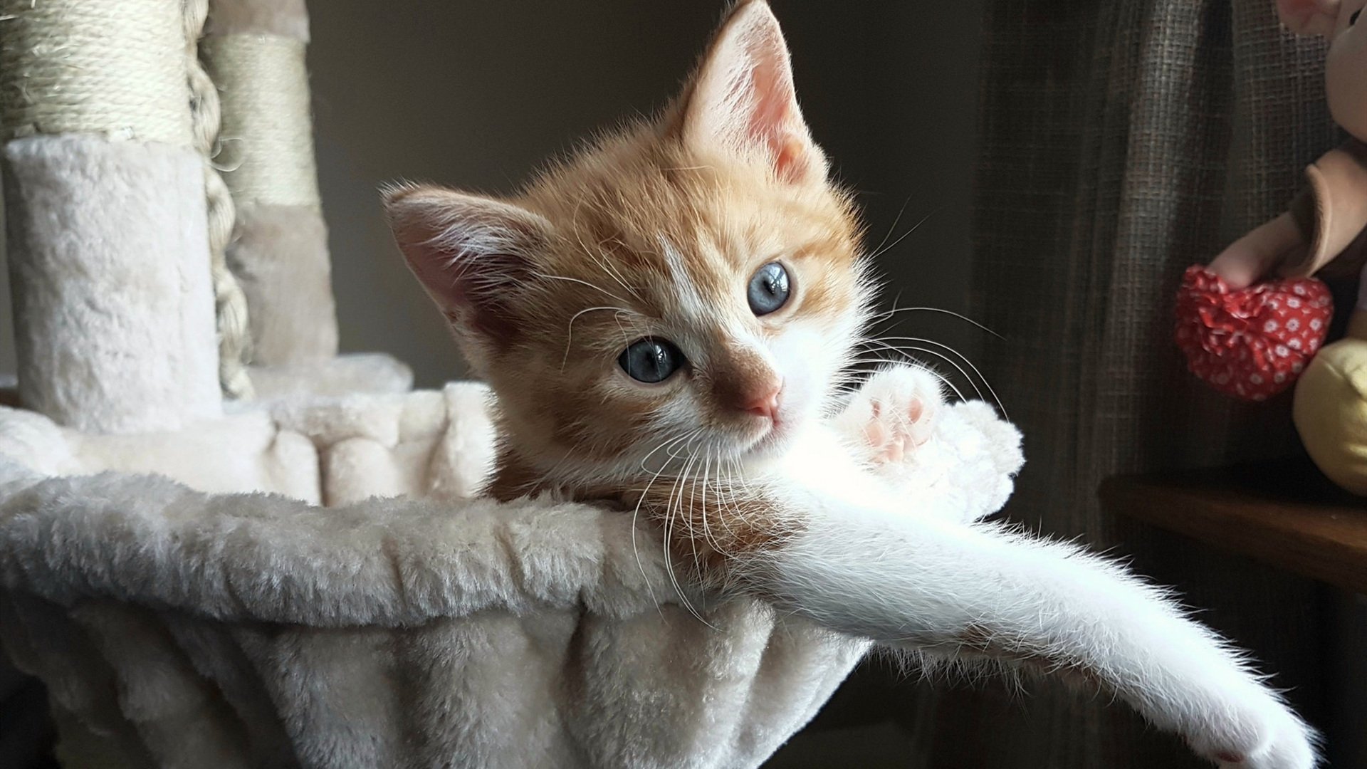 拉梅洛！神级压制加冕