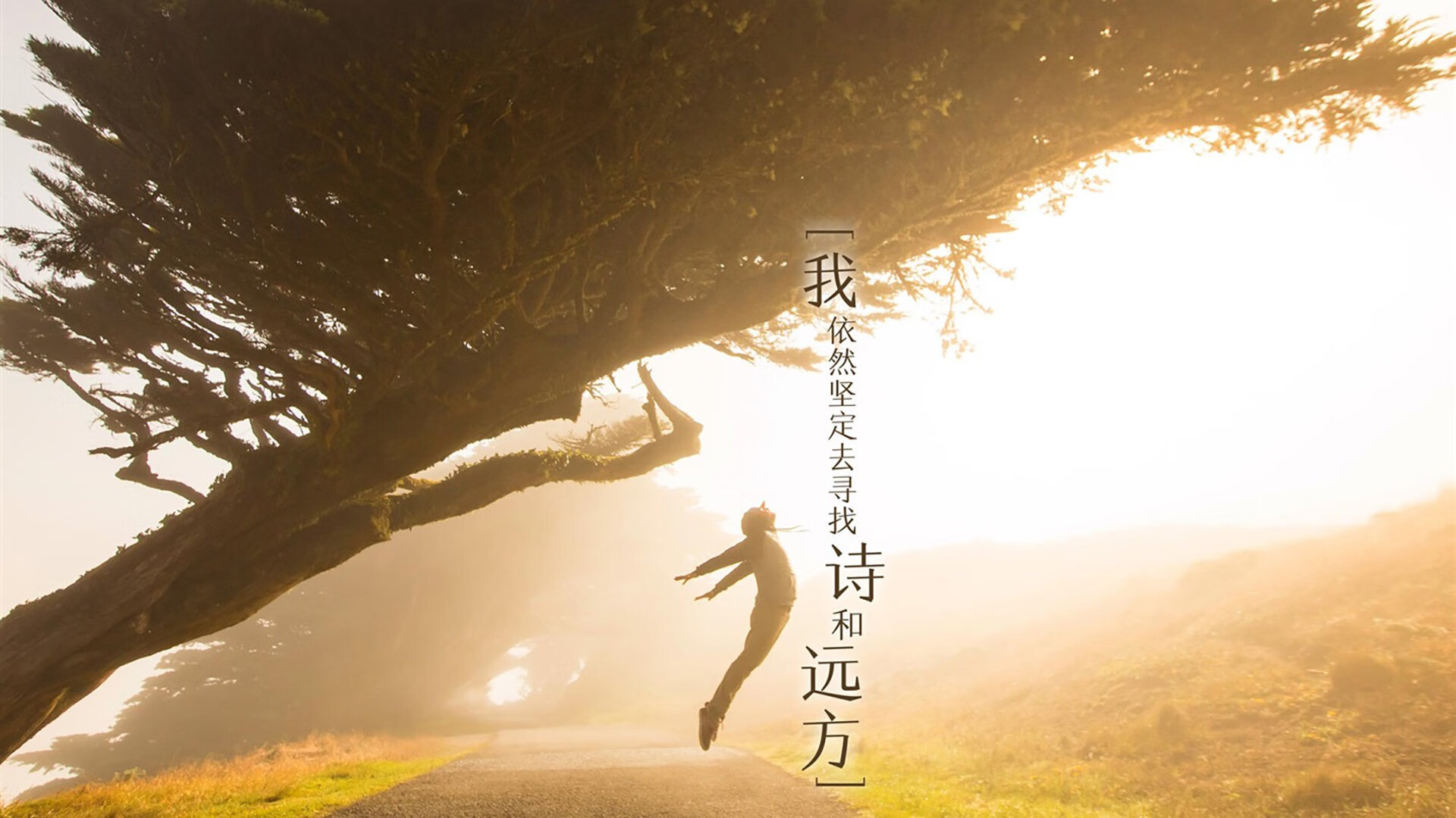 体育双雄,哥伦比亚足球碾压加纳,罗德里戈F1开幕战称霸