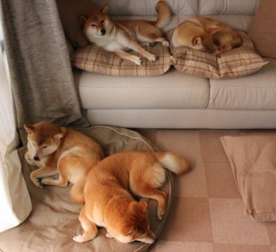 数据霸权与战术碾压,内马尔的王者独舞与曼城的体系胜利