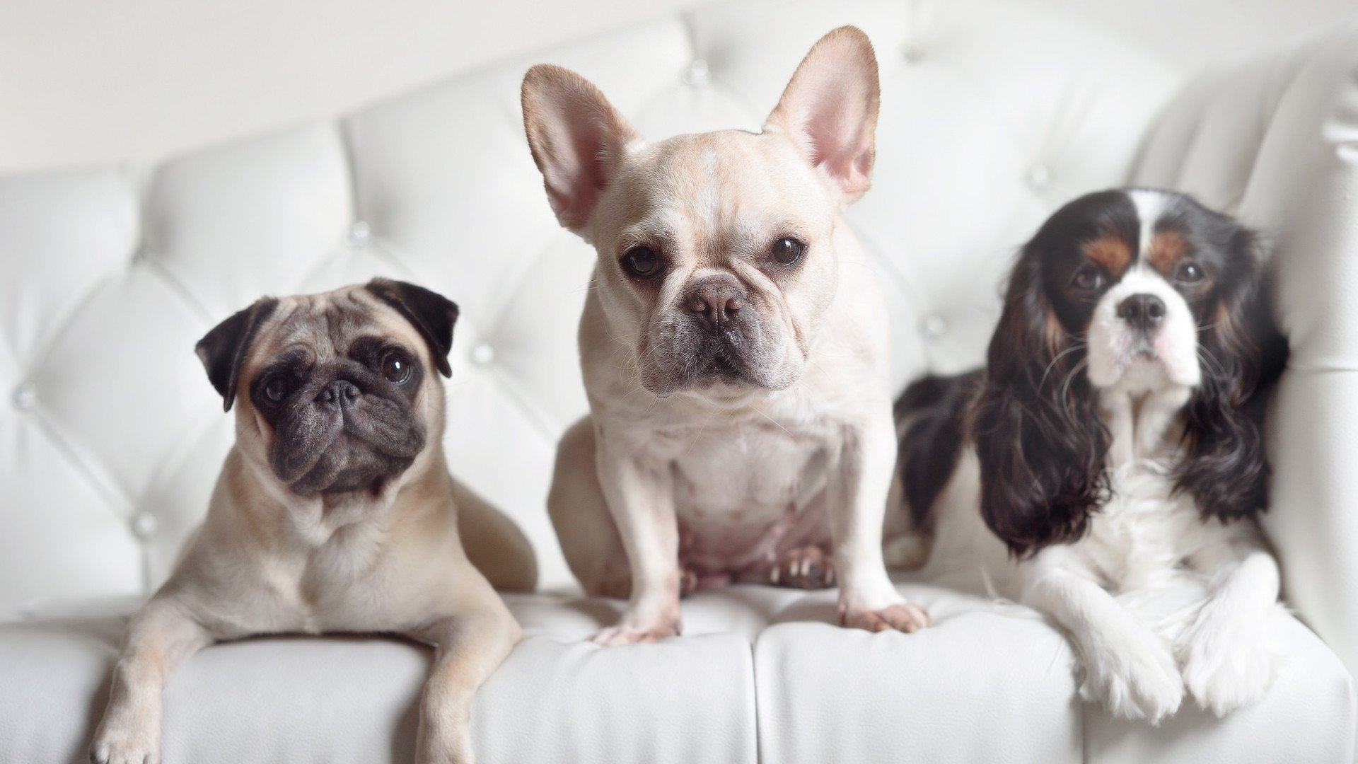 青春风暴与不灭余晖,当贝蒂斯横扫对手,莫德里奇在德比定义永恒