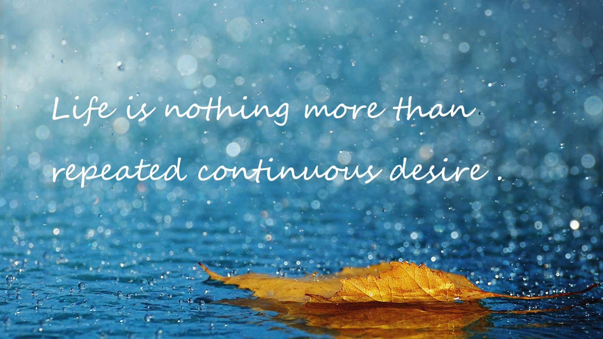 托尼闪耀全场,佛罗伦萨完美节奏击溃罗马