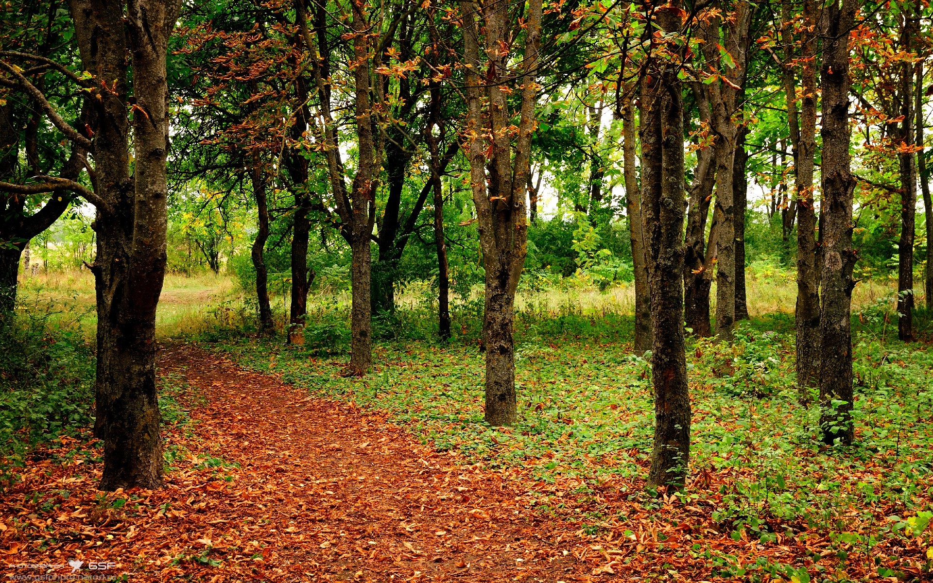 乌克兰突围关键战!美加墨世界杯焦点战再现比利亚雷亚尔式奇迹