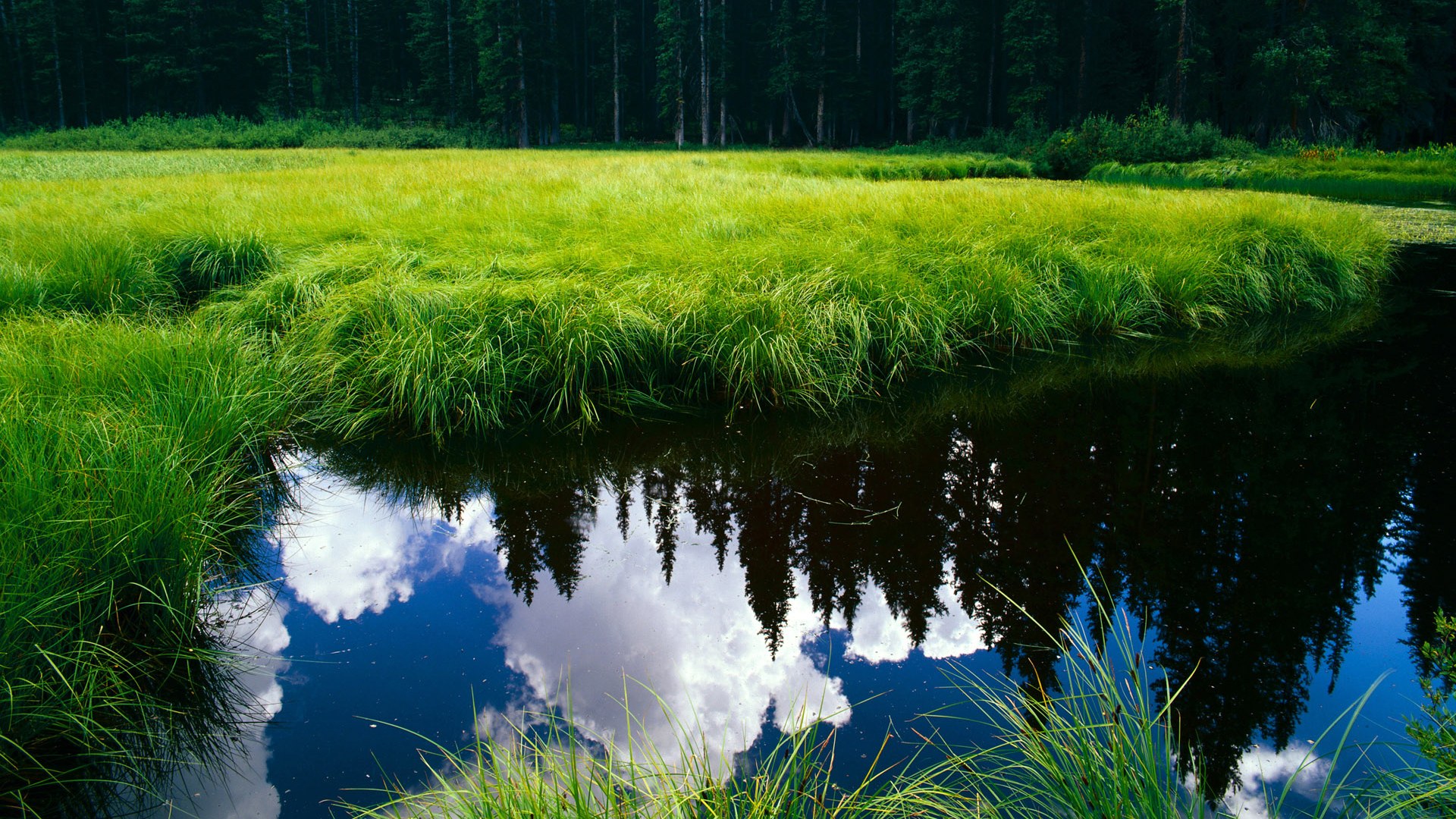 美加之夜,范弗利特撕裂夜空,当悬念在三分雨中崩塌